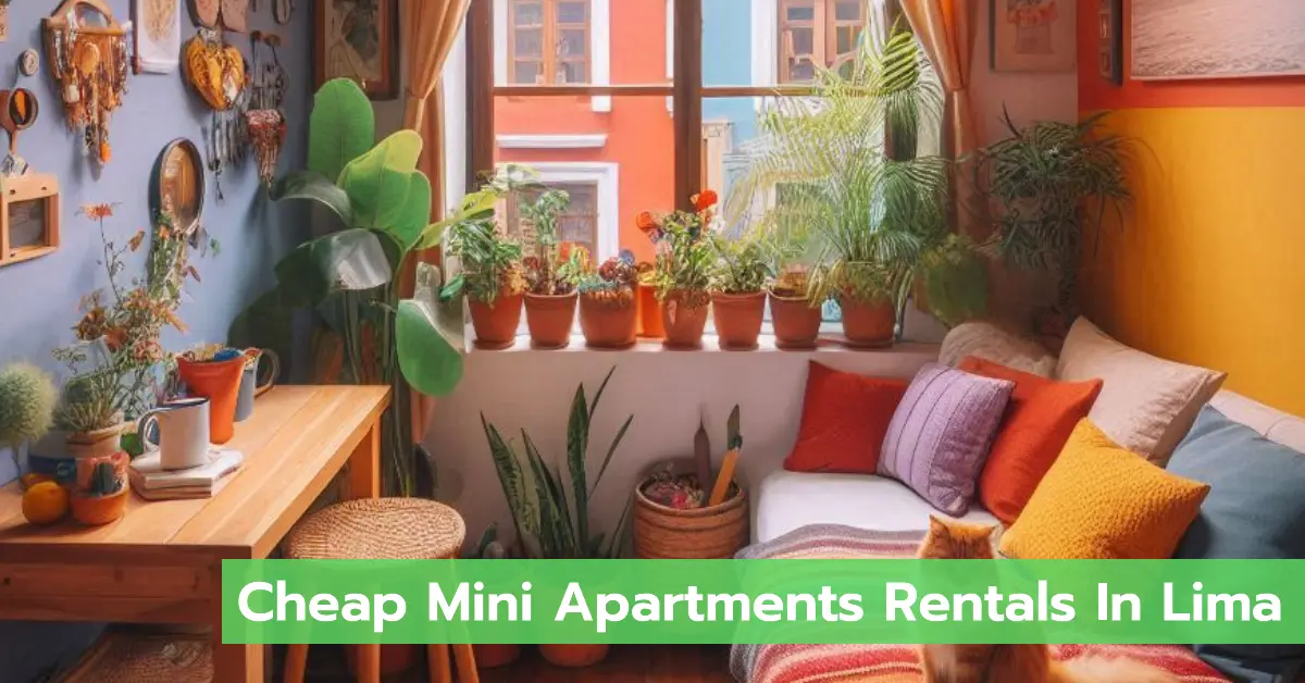 Mini Apartment Rentals in Lima